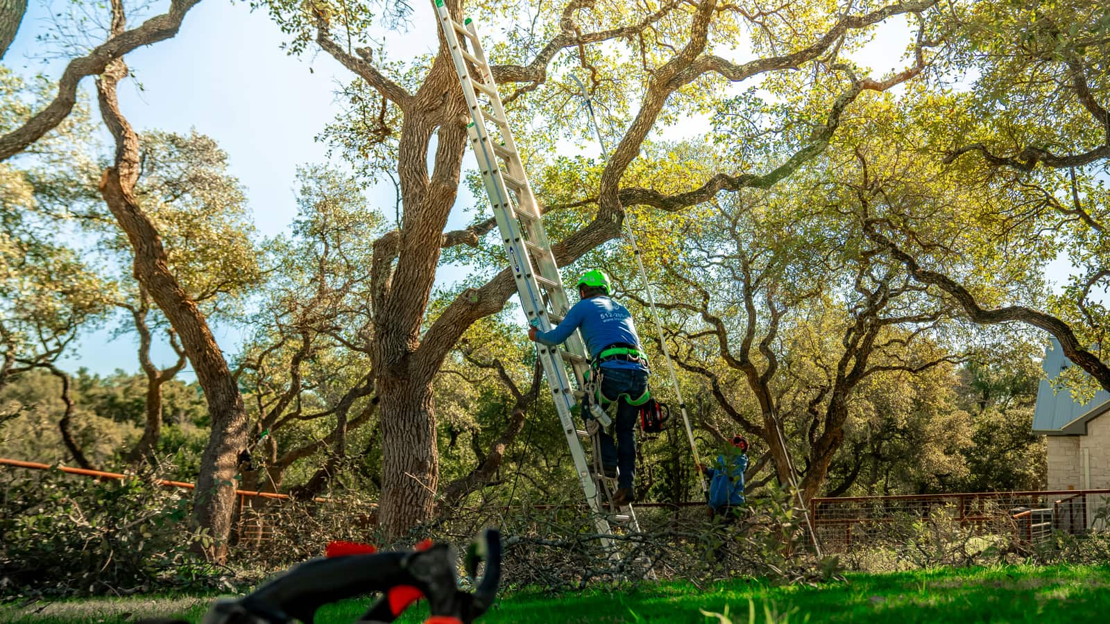 Green Image Tree Service